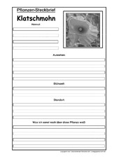 Pflanzensteckbrief-Klatschmohn-SW.pdf
